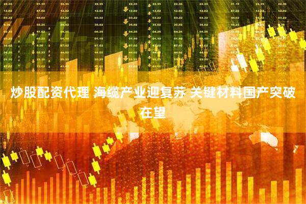 炒股配资代理 海缆产业迎复苏 关键材料国产突破在望