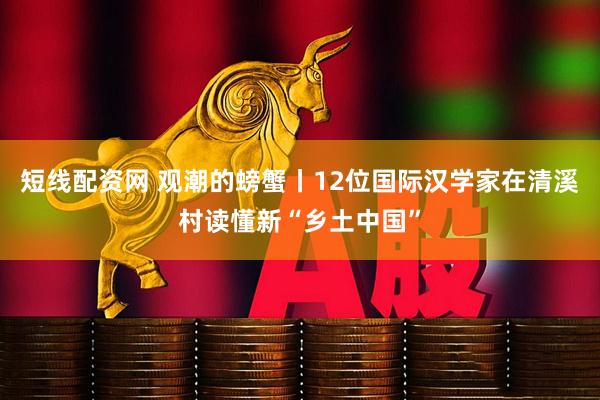 短线配资网 观潮的螃蟹丨12位国际汉学家在清溪村读懂新“乡土中国”