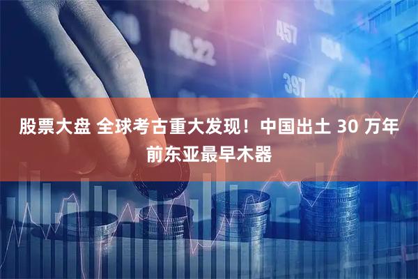 股票大盘 全球考古重大发现！中国出土 30 万年前东亚最早木器