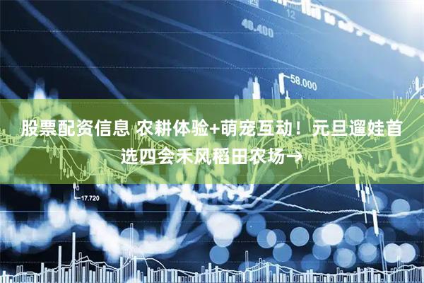 股票配资信息 农耕体验+萌宠互动！元旦遛娃首选四会禾风稻田农场→